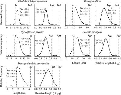 Assessments of 14 Exploited Fish and Invertebrate Stocks in Chinese Waters Using the LBB Method